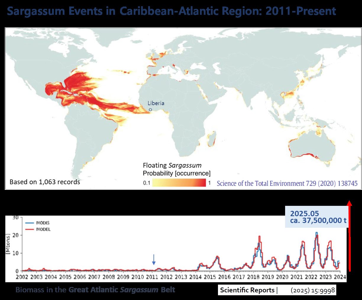 Mapa de probabilidad de eventos de sargazo en la región Caribe-Atlántico 2011–presente y serie temporal de biomasa del Gran Cinturón de Sargazo con máximo de unos 37,5 millones de toneladas en mayo de 2025